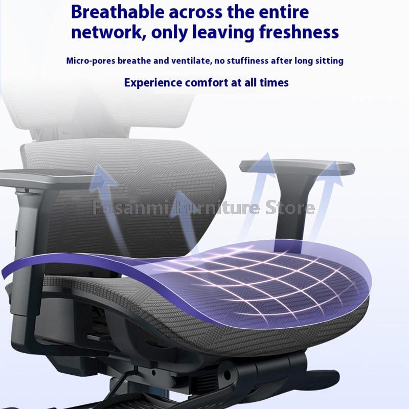 Ergonomic Zoned Support Backre - đánh giá và giá Office Furniture Zone