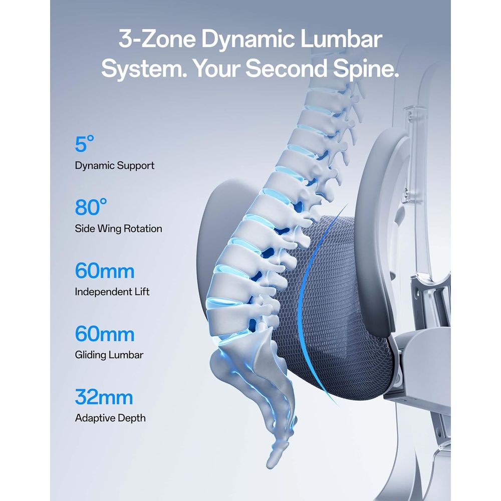 E3 Pro 2026 Edition Ergonomic  - đánh giá và giá Office Furniture Zone